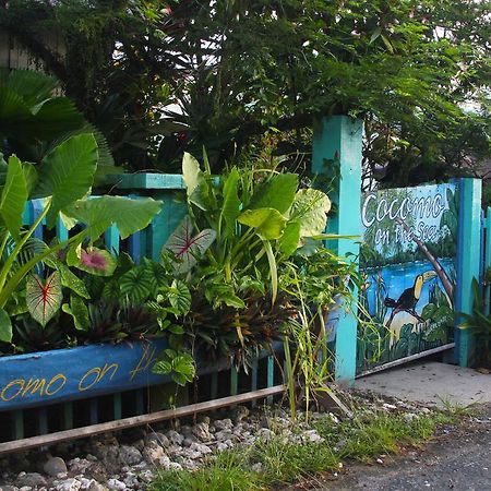 Cocomo On The Sea Bocas Town Ngoại thất bức ảnh