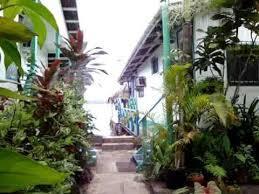 Cocomo On The Sea Bocas Town Ngoại thất bức ảnh